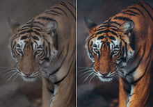 Load image into Gallery viewer, WithLuke Presets - The Timeless Collection