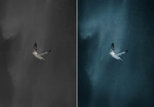 Load image into Gallery viewer, WithLuke Presets - The Master Collection (All 150 presets)