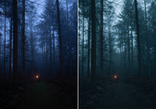 Load image into Gallery viewer, WithLuke Presets - The Master Collection (All 150 presets)