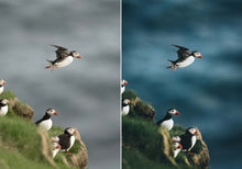 Load image into Gallery viewer, WithLuke Presets - The Timeless Collection