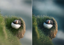 Load image into Gallery viewer, WithLuke Presets - The Timeless Collection