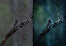 Load image into Gallery viewer, WithLuke Presets - The Timeless Collection