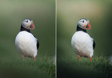 Load image into Gallery viewer, WithLuke Presets - The Timeless Collection