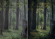 Load image into Gallery viewer, WithLuke Presets - The Timeless Collection