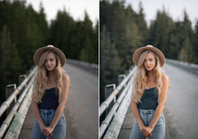 Load image into Gallery viewer, WithLuke Presets - The Master Collection (All 150 presets)