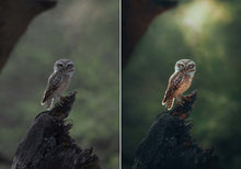 Load image into Gallery viewer, WithLuke Presets - The Timeless Collection