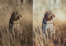 Load image into Gallery viewer, WithLuke Presets - The Master Collection (All 150 presets)