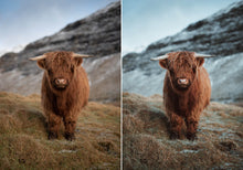 Load image into Gallery viewer, WithLuke Presets - The Legacy Collection