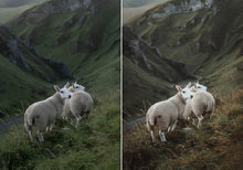 Load image into Gallery viewer, WithLuke Presets - The Legacy Collection