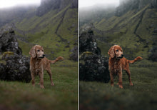 Load image into Gallery viewer, WithLuke Presets - The Legacy Collection