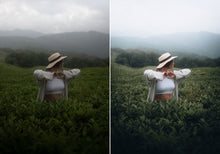 Load image into Gallery viewer, WithLuke Presets - The Portrait Collection